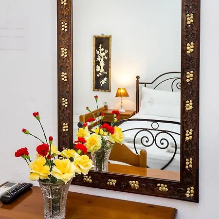 アパート Laskarina Onar ポトス